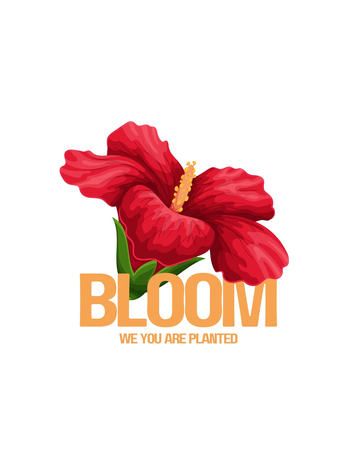 Egy életteli vörös virág ragyog a képen, mely szimbolizálja a növekedést és a kiteljesedést. Az élénk színek és az inspiráló „BLOOM WHERE YOU ARE PLANTED” felirat pozitív üzenetet közvetít.