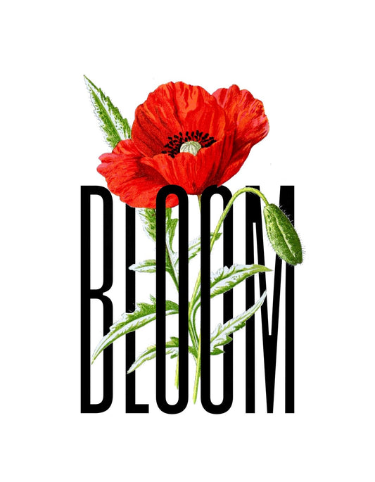 Egy élénkpiros pipacs virág nő keresztül a fekete "BLOOM" felirat vonalain, élettel telin, dinamikus és inspiráló hatást keltve. 