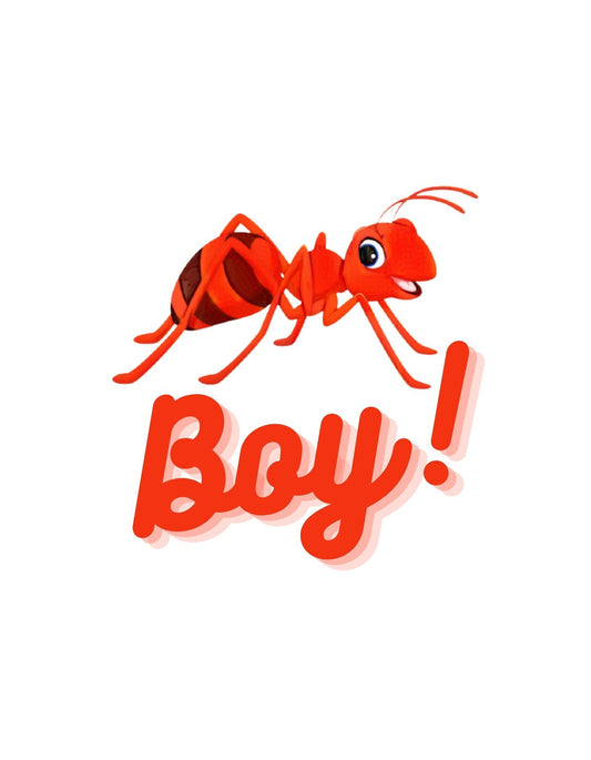 Vidám hangulatú, piros hangyát ábrázoló grafika "Boy!" felirattal. 