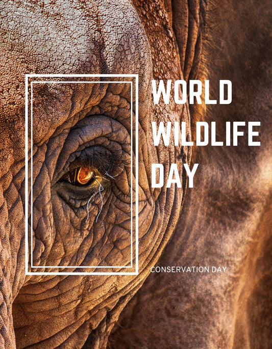 Az elefánt bőrének részletgazdag közelképe, amely az állat szeme köré koncentrál. A képen a "World Wildlife Day" felirat kiemeli a természetvédelmi üzenet fontosságát. 