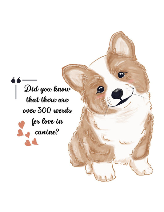 Egy aranyos, békésen mosolygó corgi kutyus látható a képen, mellette a szöveg: „Did you know that there are over 300 words for love in canine?”, ami melegséget és szeretetet áraszt.