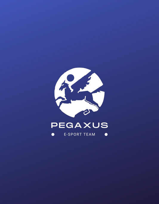 Egy lendületes Pegasus szárnyal a logón, amely maga az energia és az erő megtestesítője, körbevéve egy stilizált holdkoronggal, alatta az "e-sport team" felirattal. 